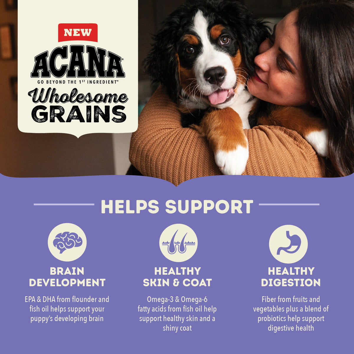 Acana Wholesome Grains Large Breed Puppy Dry Dog Food 22.5 lb