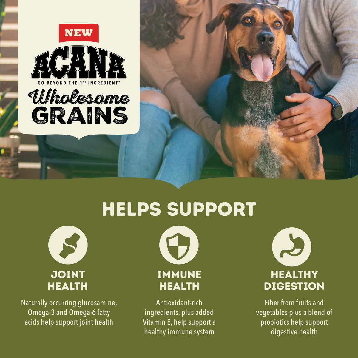 Acana Wholesome Grains Large Breed Adult Dry Dog Food 22.5 lb