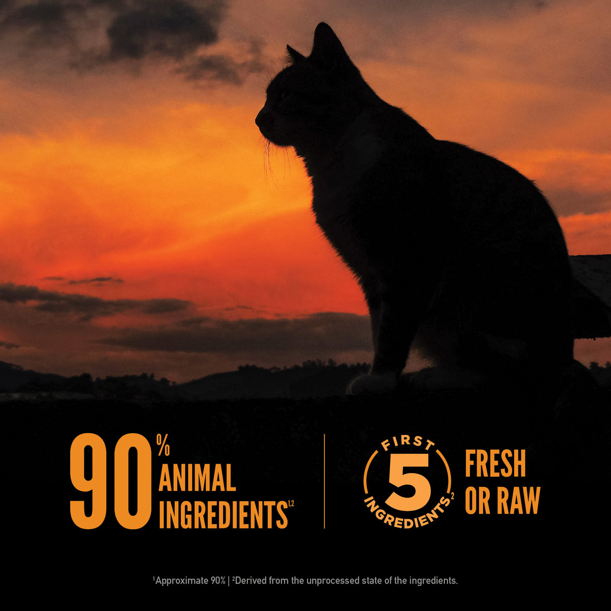 Orijen Wild Reserve Free-Run Chicken & Wild Caught Fish Recipe Dry Cat Food 6.5 lb