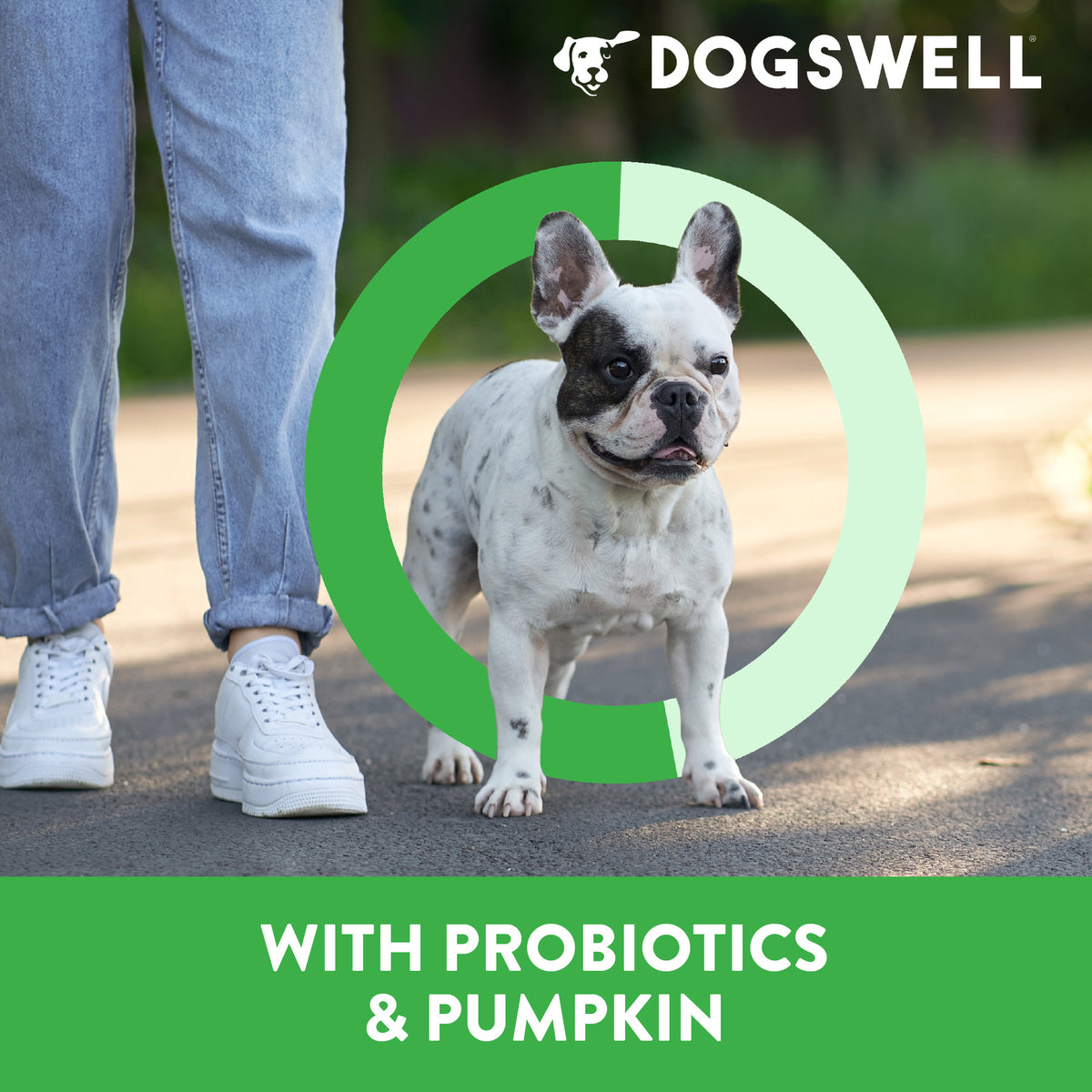 Dogswell Gut Health Jerky Dog Treats, Lamb Recipe 10 oz