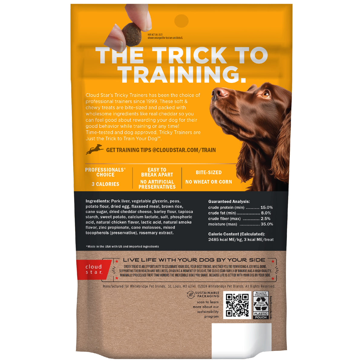 Cloud Star Tricky Trainers Soft & Chewy with Cheddar Dog Training Treats