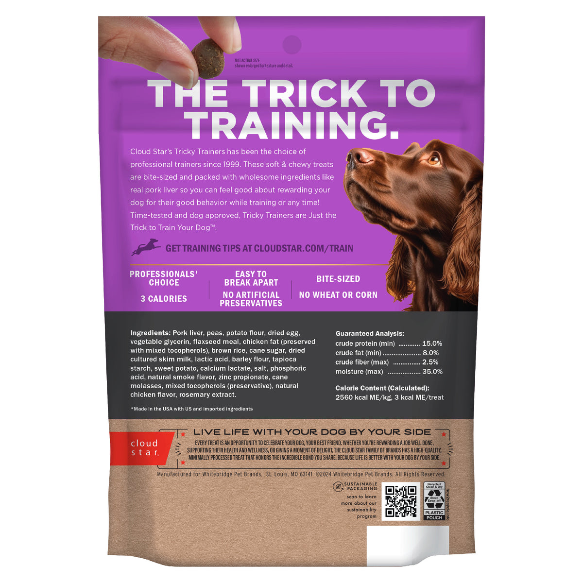 Cloud Star Tricky Trainers Soft & Chewy with Liver Training Treats for Dogs