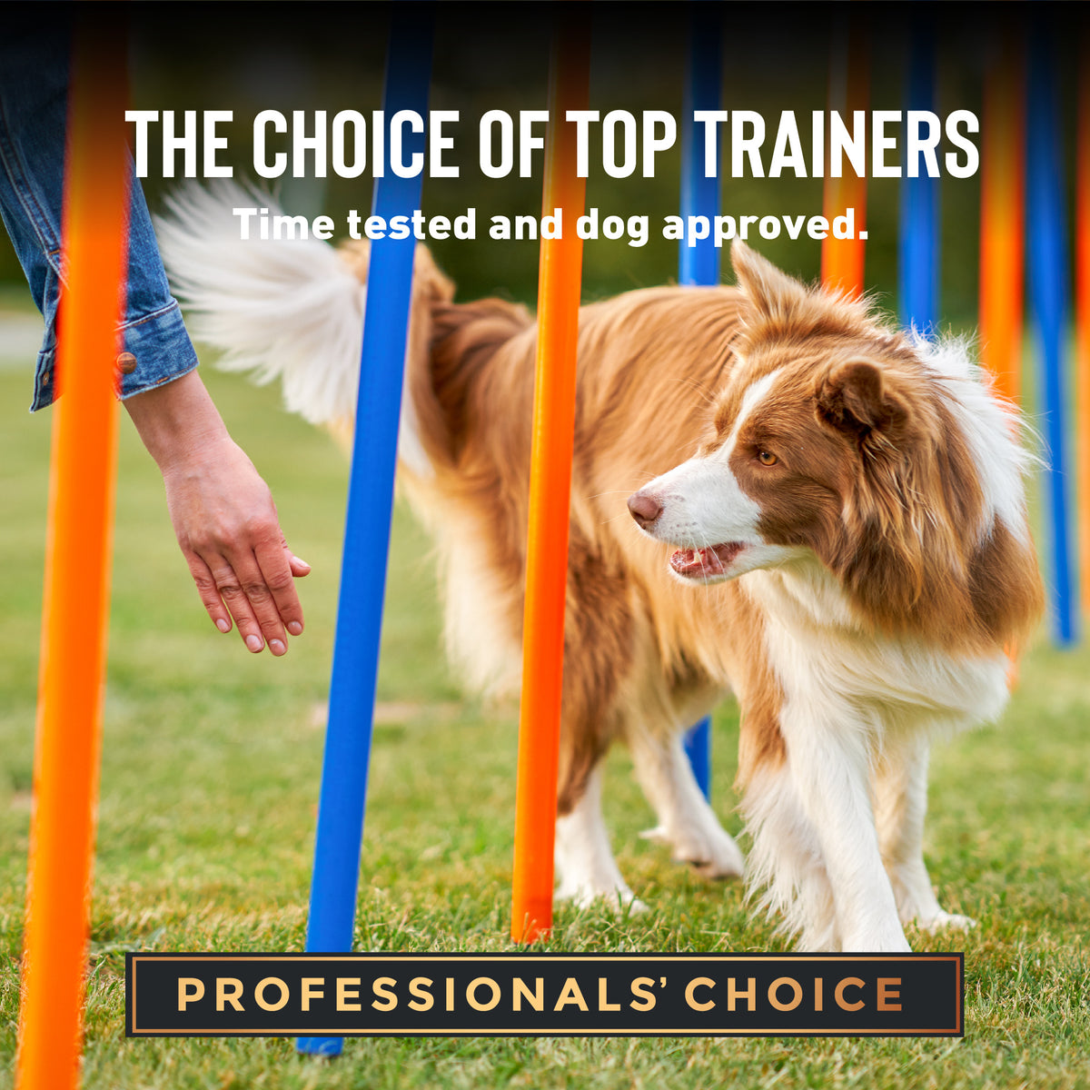 Cloud Star Tricky Trainers Soft & Chewy with Liver Training Treats for Dogs