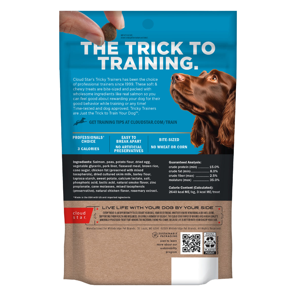Cloud Star Tricky Trainers Soft & Chewy with Salmon Dog Training Treats