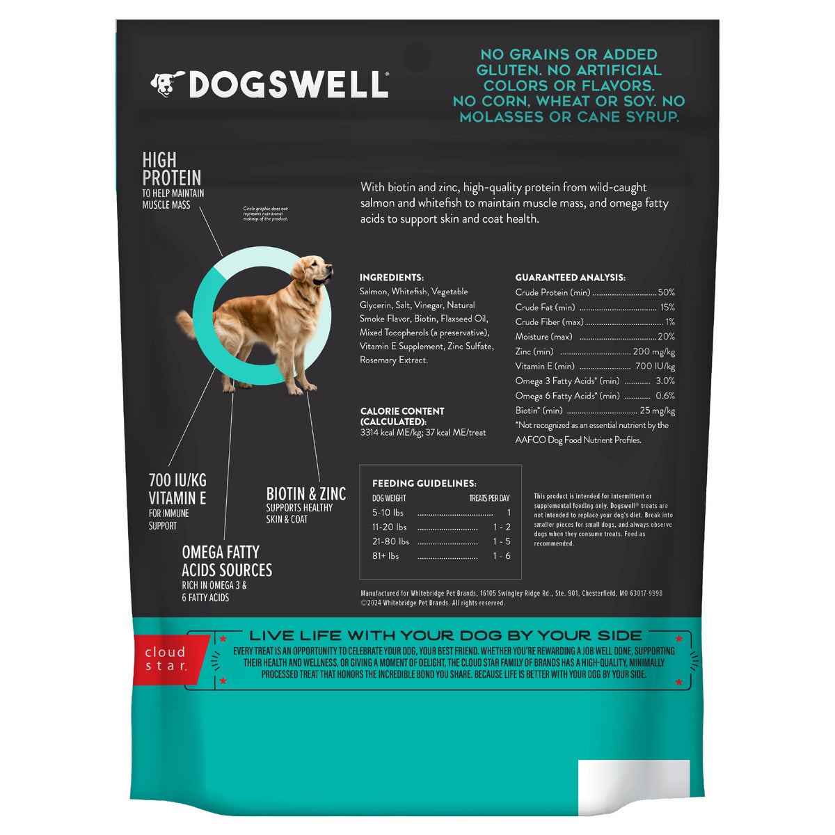 Dogswell Jerky Skin & Coat Salmon Recipe Grain-Free Dog Treats 10 oz