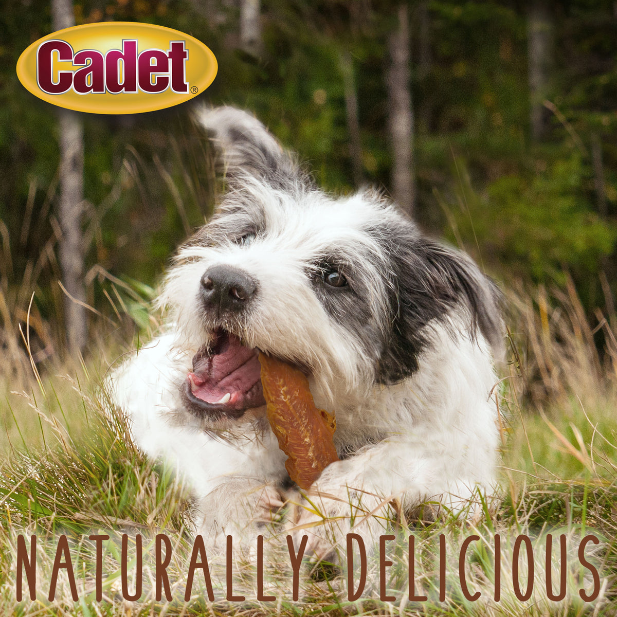Cadet Gourmet Real Chicken Breast Dog Treats