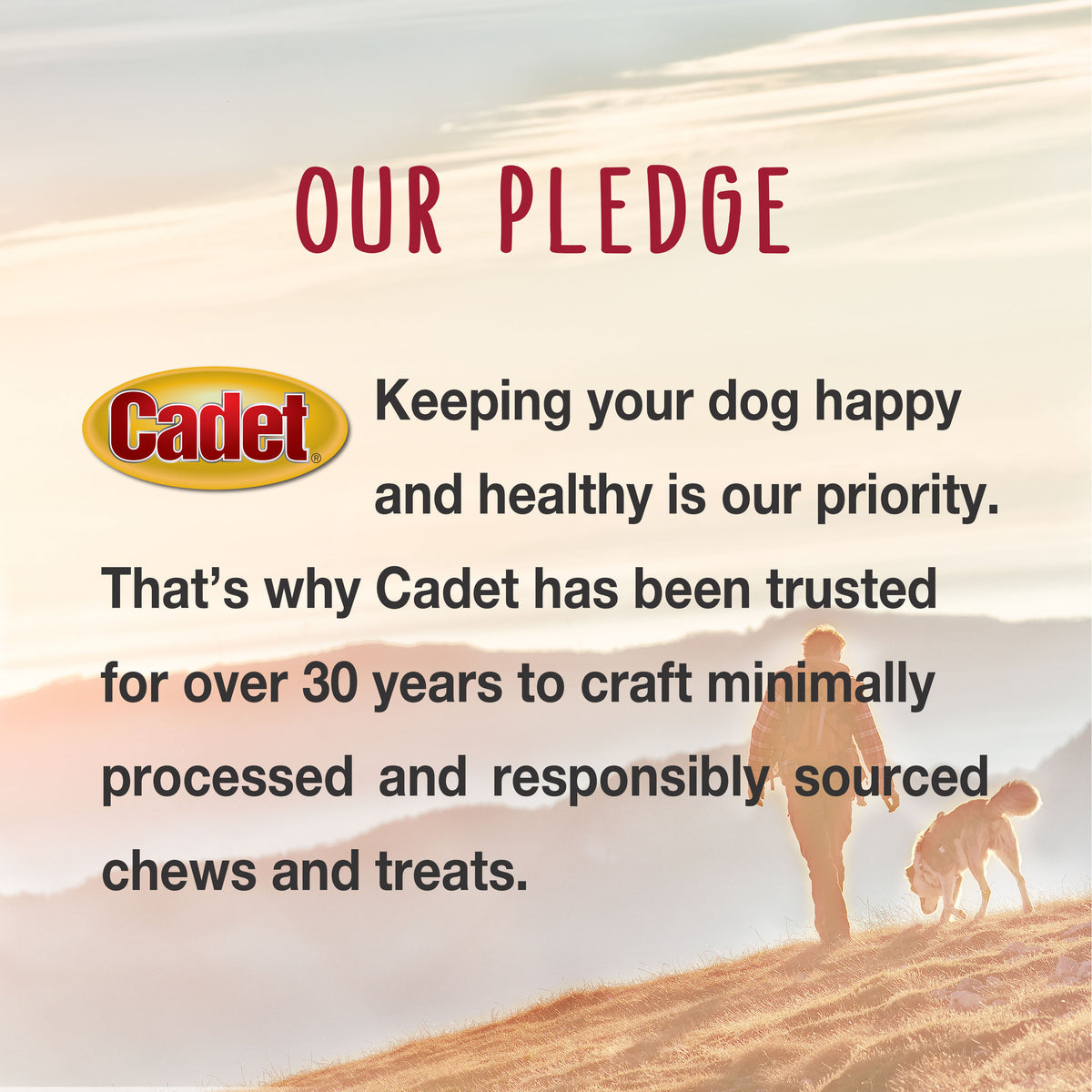 Cadet Gourmet Real Chicken Breast Dog Treats