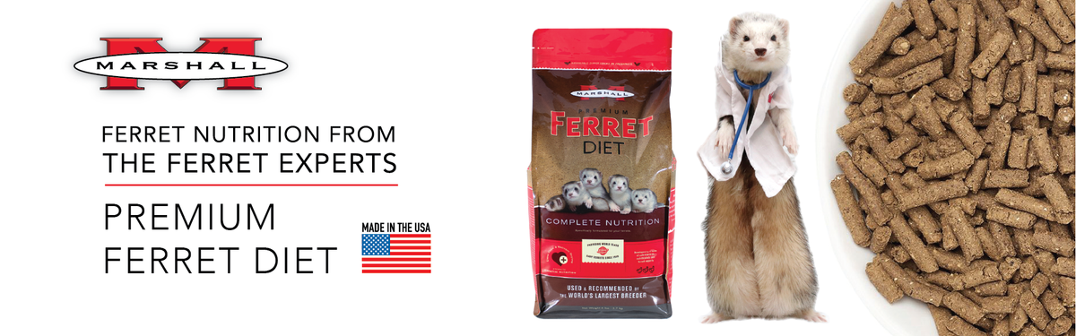 Marshall premium ferret diet