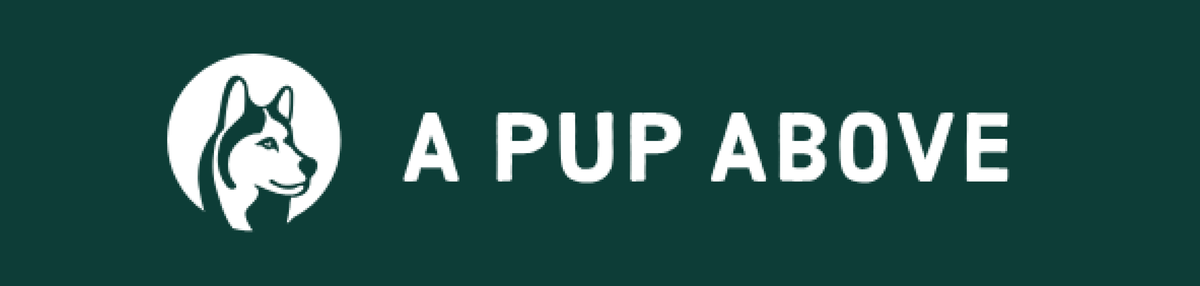 Feeders Pet Supply