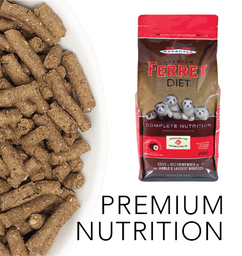 Small Pet Food