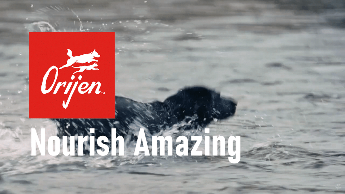 Orijen - Nourish Amazing