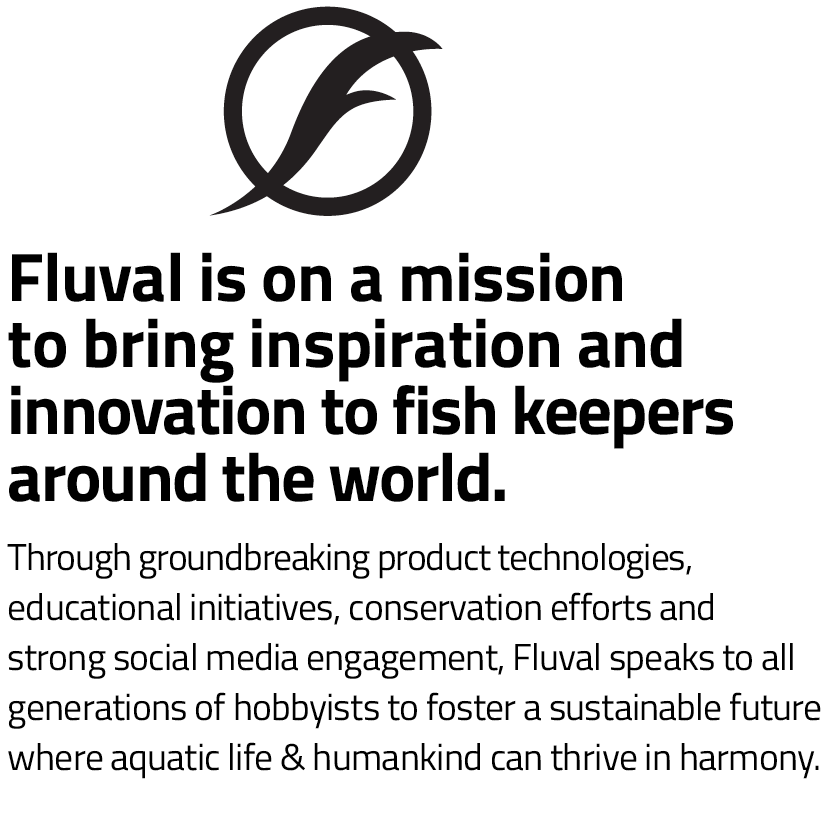 Our mission