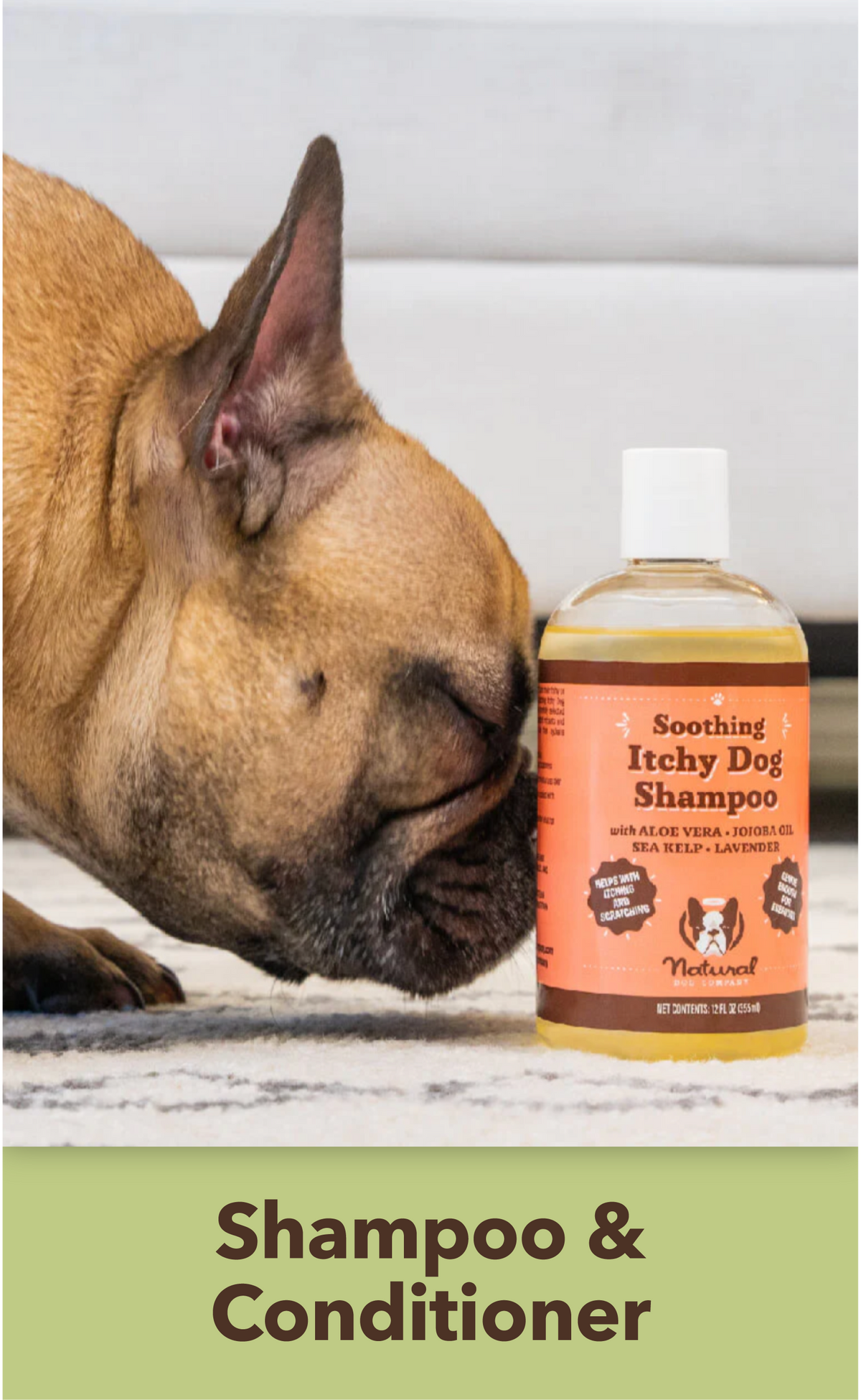 Shampoo & Conditioner