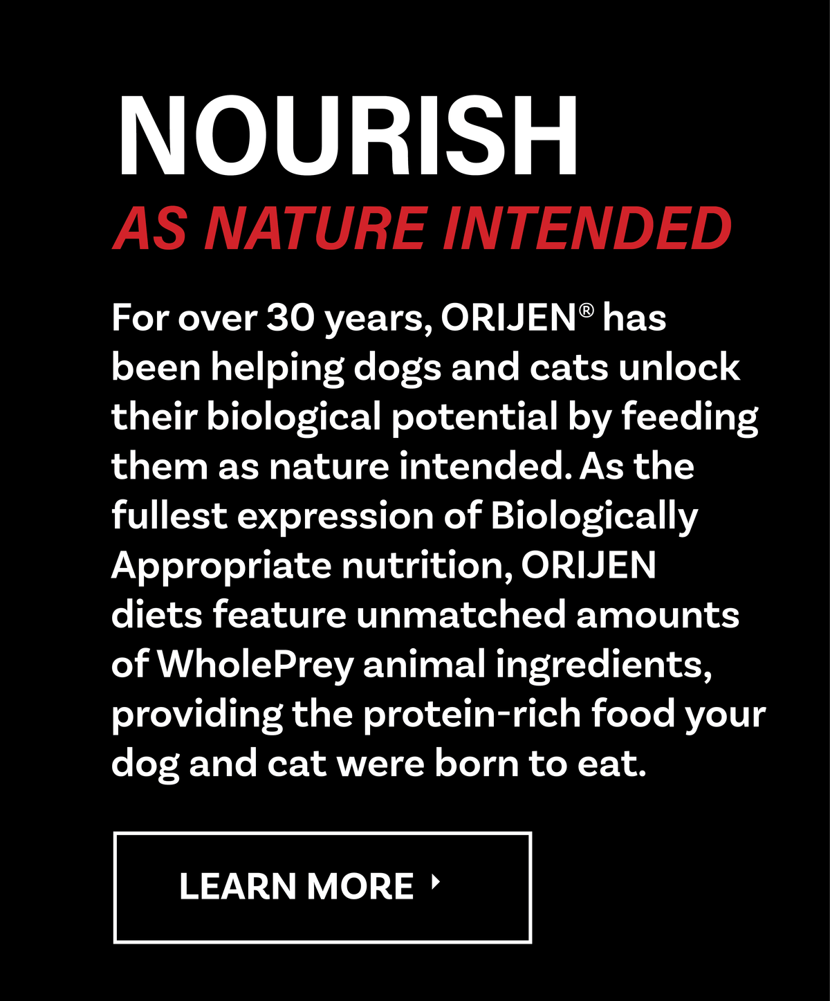 Orijen pet foods
