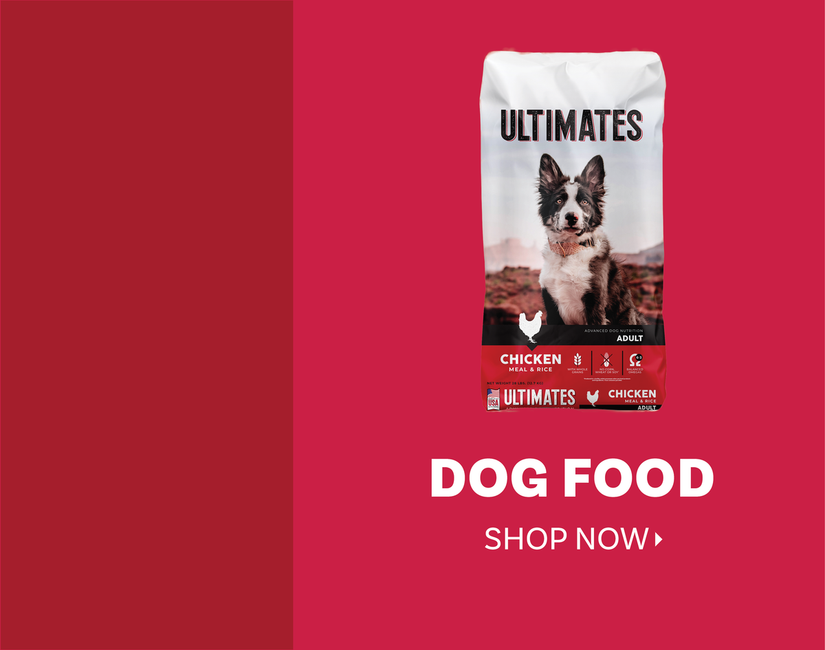 Dog Food