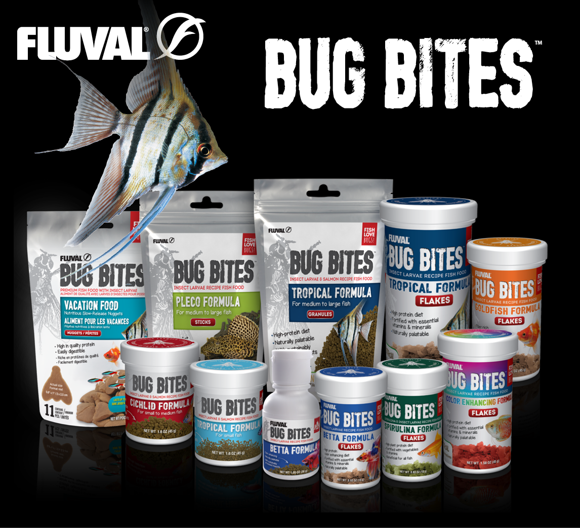 Tropical Fish Food