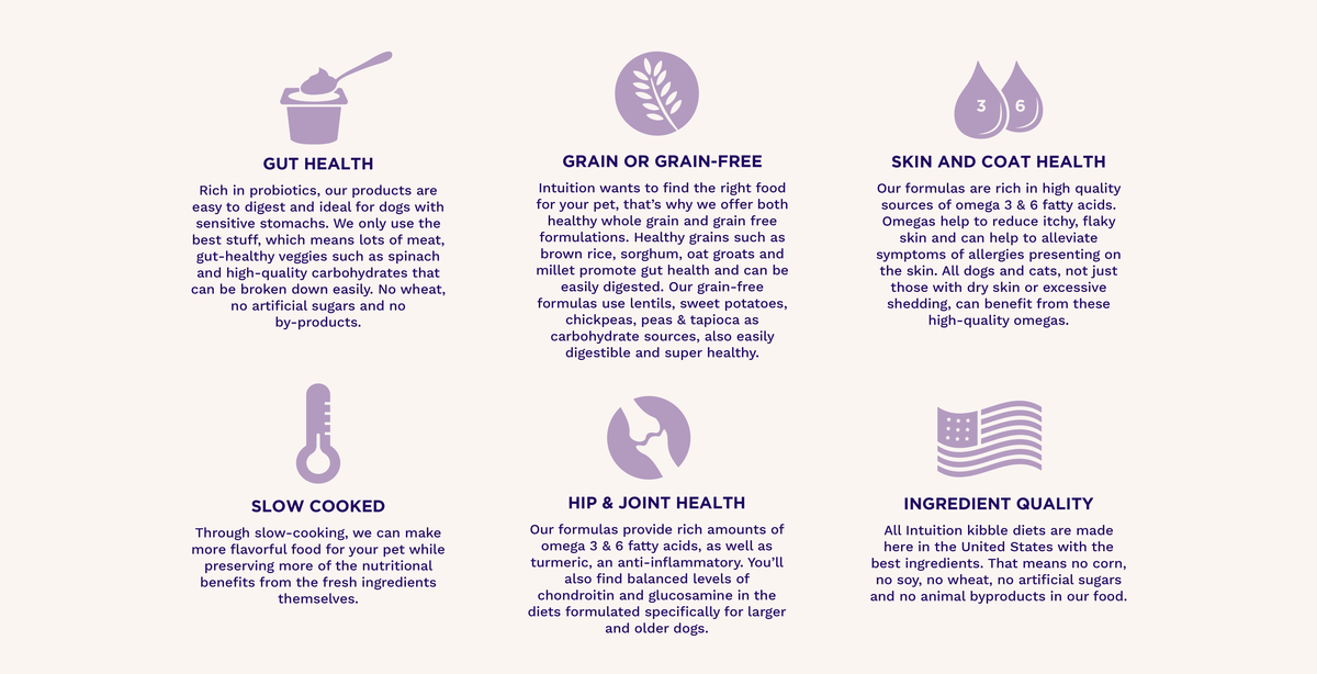 Intuition ingredients