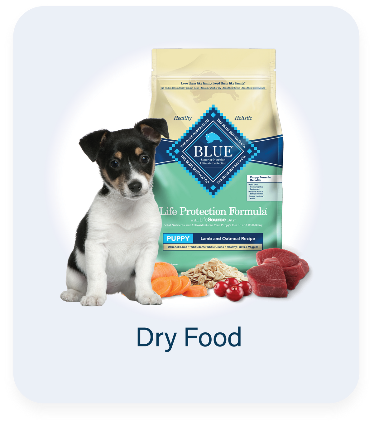 Dog Food Dry Food