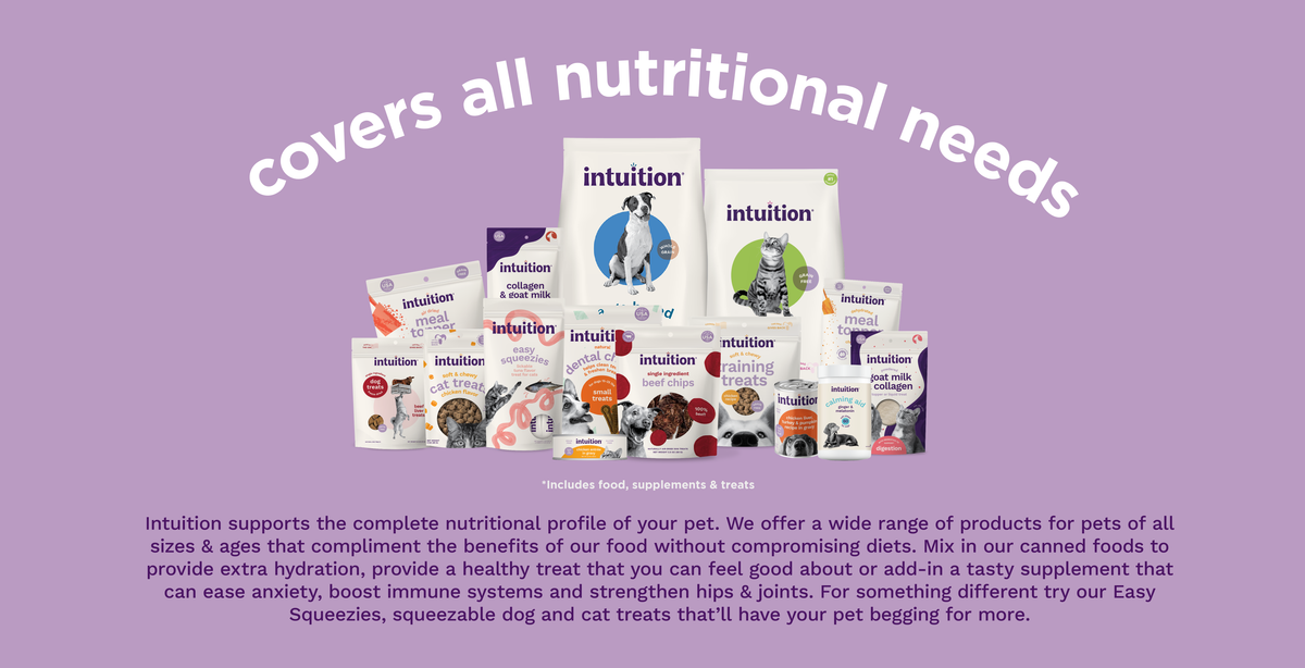 Intuition recipes