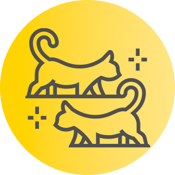 Multicat