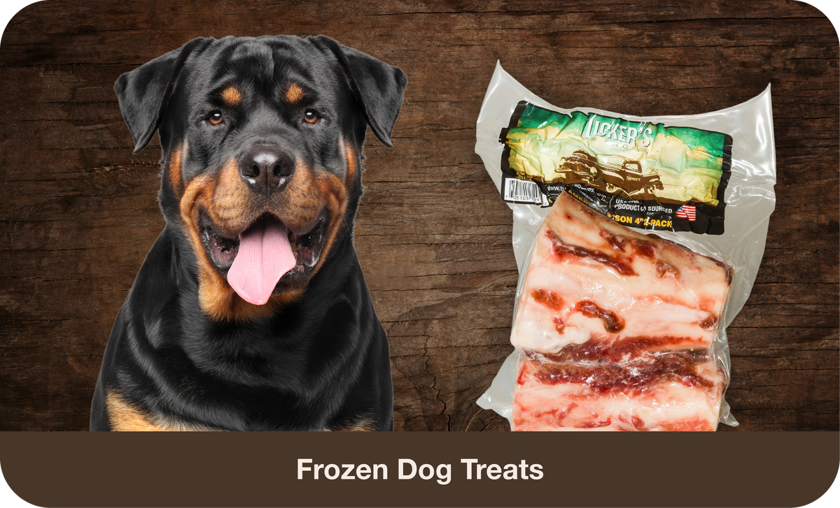 Shop Dog Frozen Treats