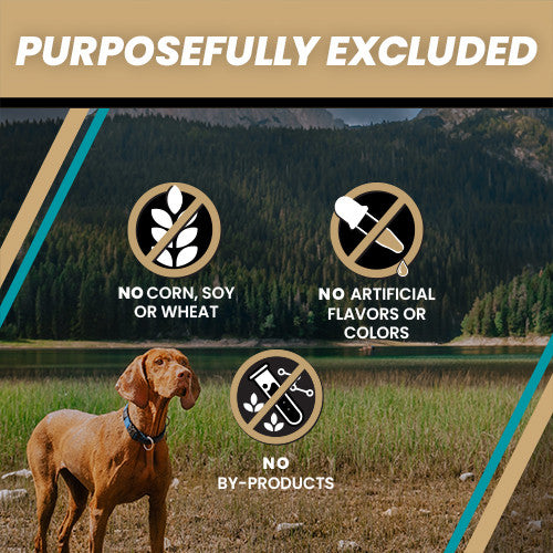 What is excluded