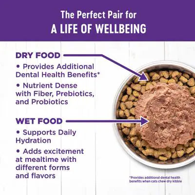 Wellness Complete Health Chicken Pate Entree Grain-Free Canned Cat Food