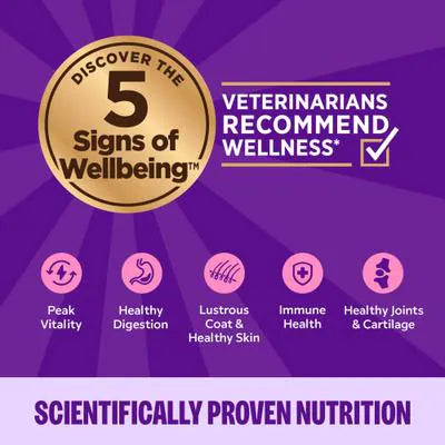 Wellness Complete Health Chicken Pate Entree Grain-Free Canned Cat Food