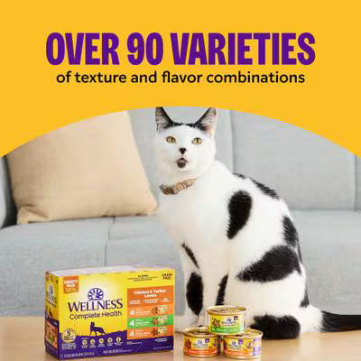 Wellness Complete Health Chicken Pate Entree Grain-Free Canned Cat Food