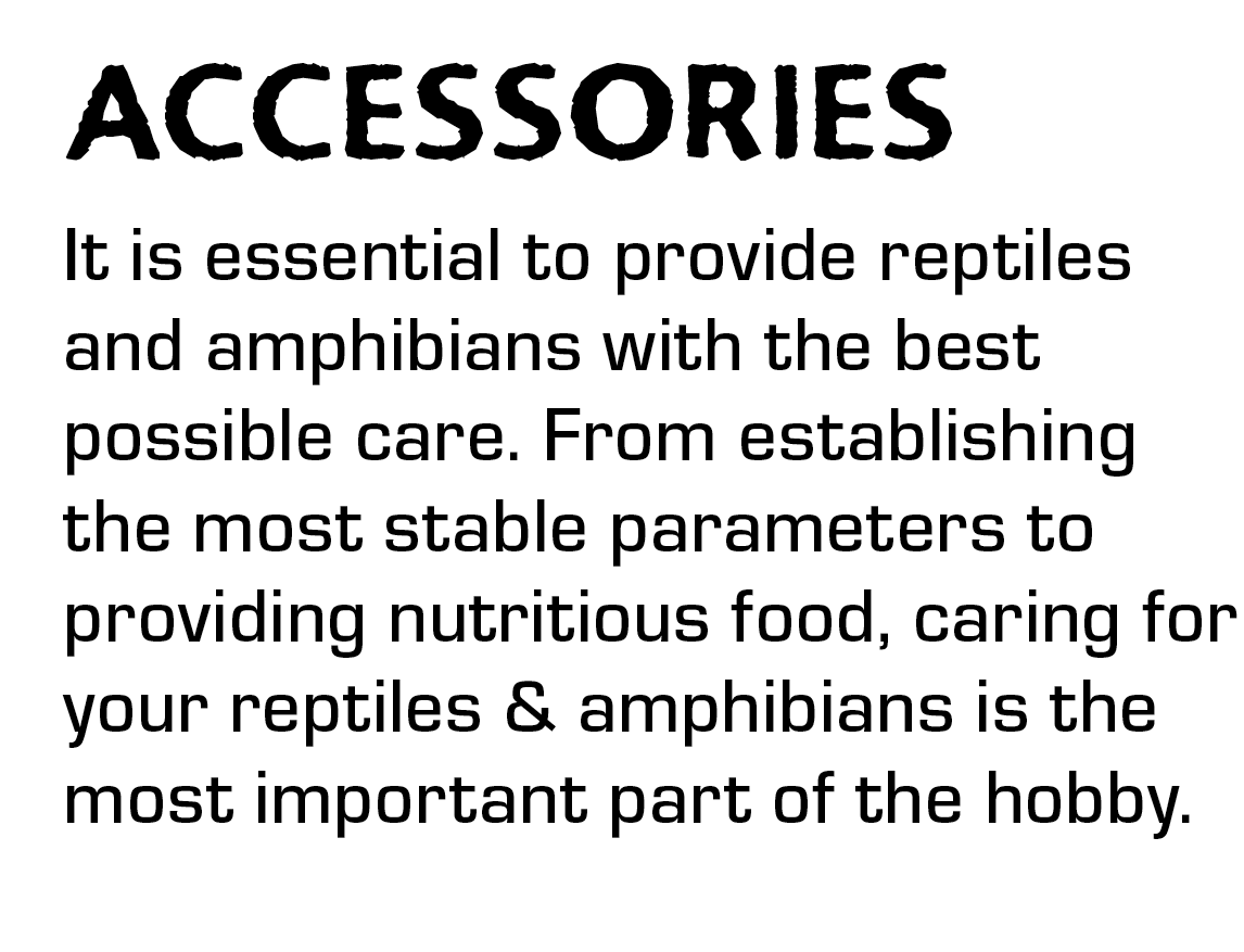 Accessories details