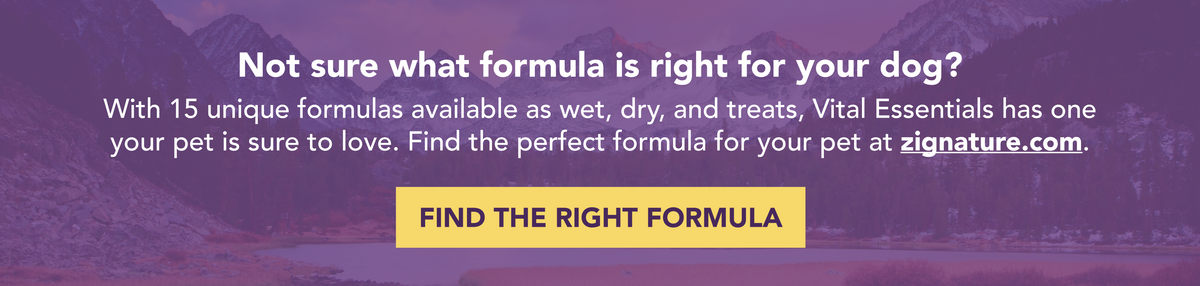 Find the right Zignature formula