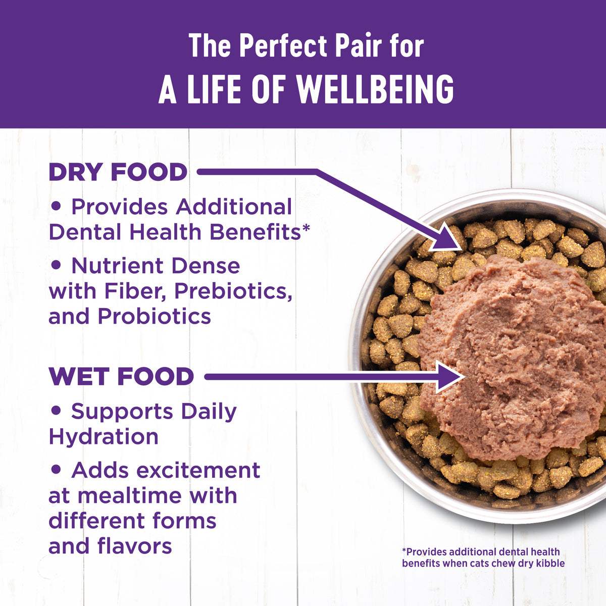 Wellness Complete Health Indoor Healthy Weight Chicken Recipe Grain-Free Dry Cat Food