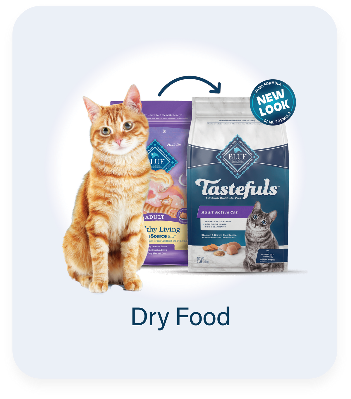 Cat Food Dry Food