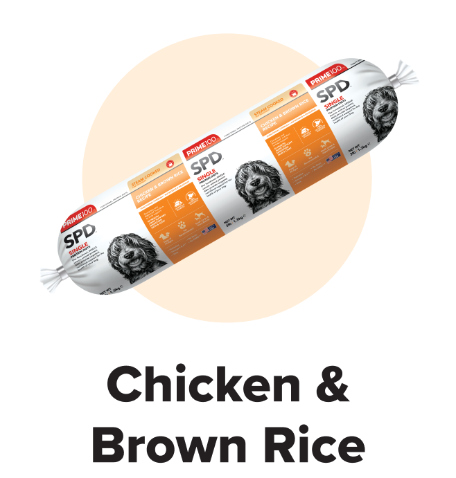 Chicken & Brown Rice
