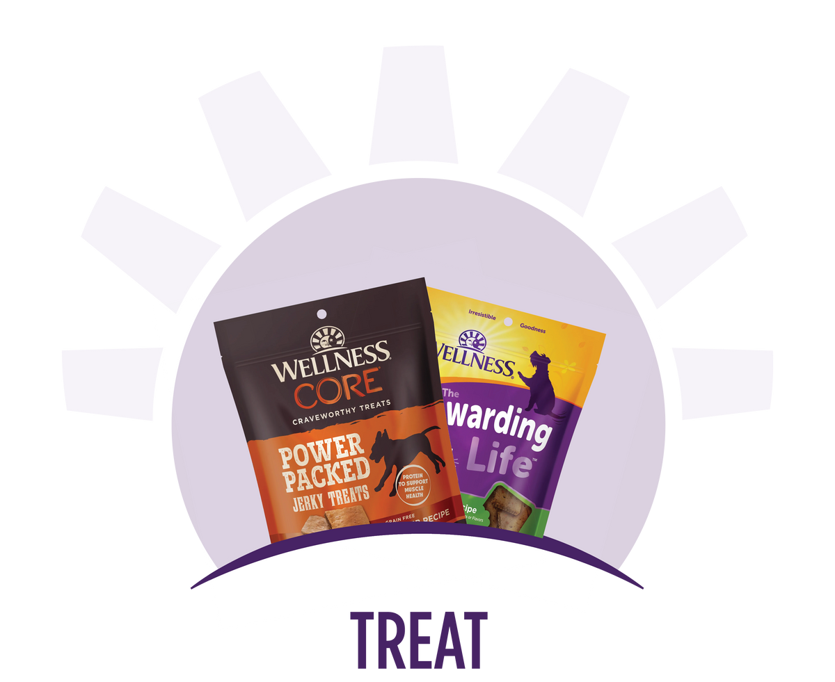 Dog Treats