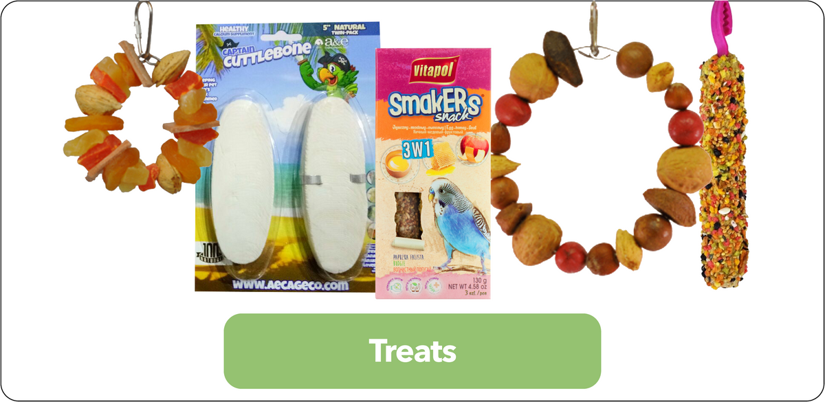 Bird Food