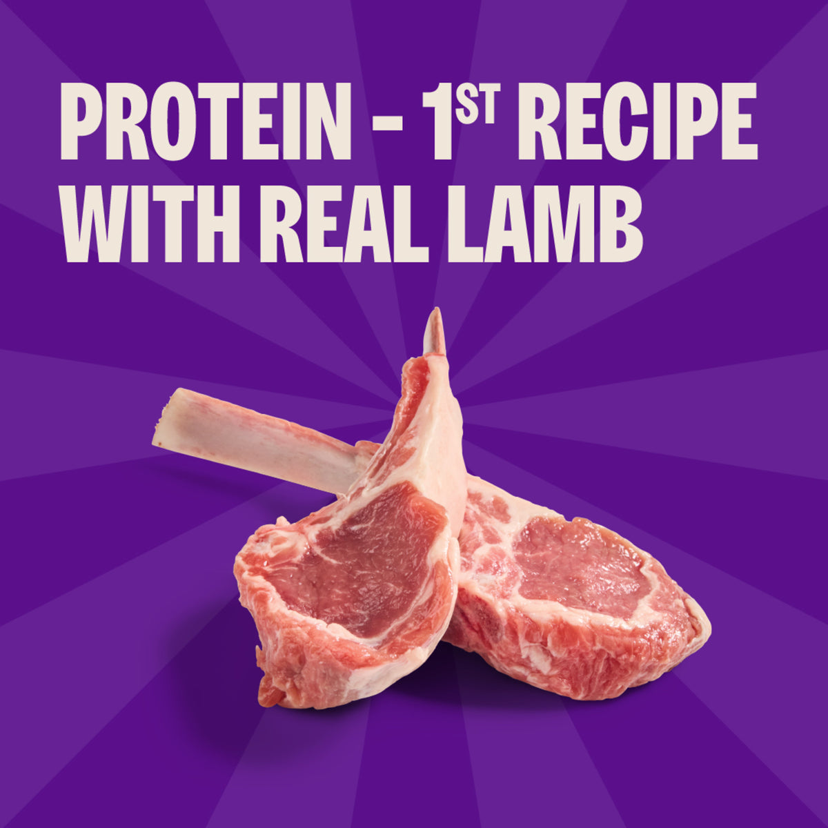 Wellness Rewarding Life Lamb & Salmon Recipe Dog Training Treats 6 oz