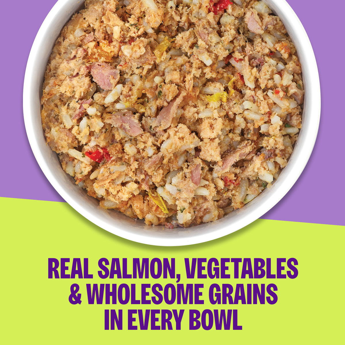 Wellness Protein Bowls Adult Wholesome Grains Salmon, Whitefish & Rice Fresh Alternative Dog Food