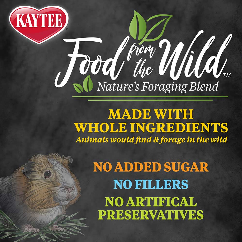Kaytee Food from the Wild Guinea Pig Food 4 lb