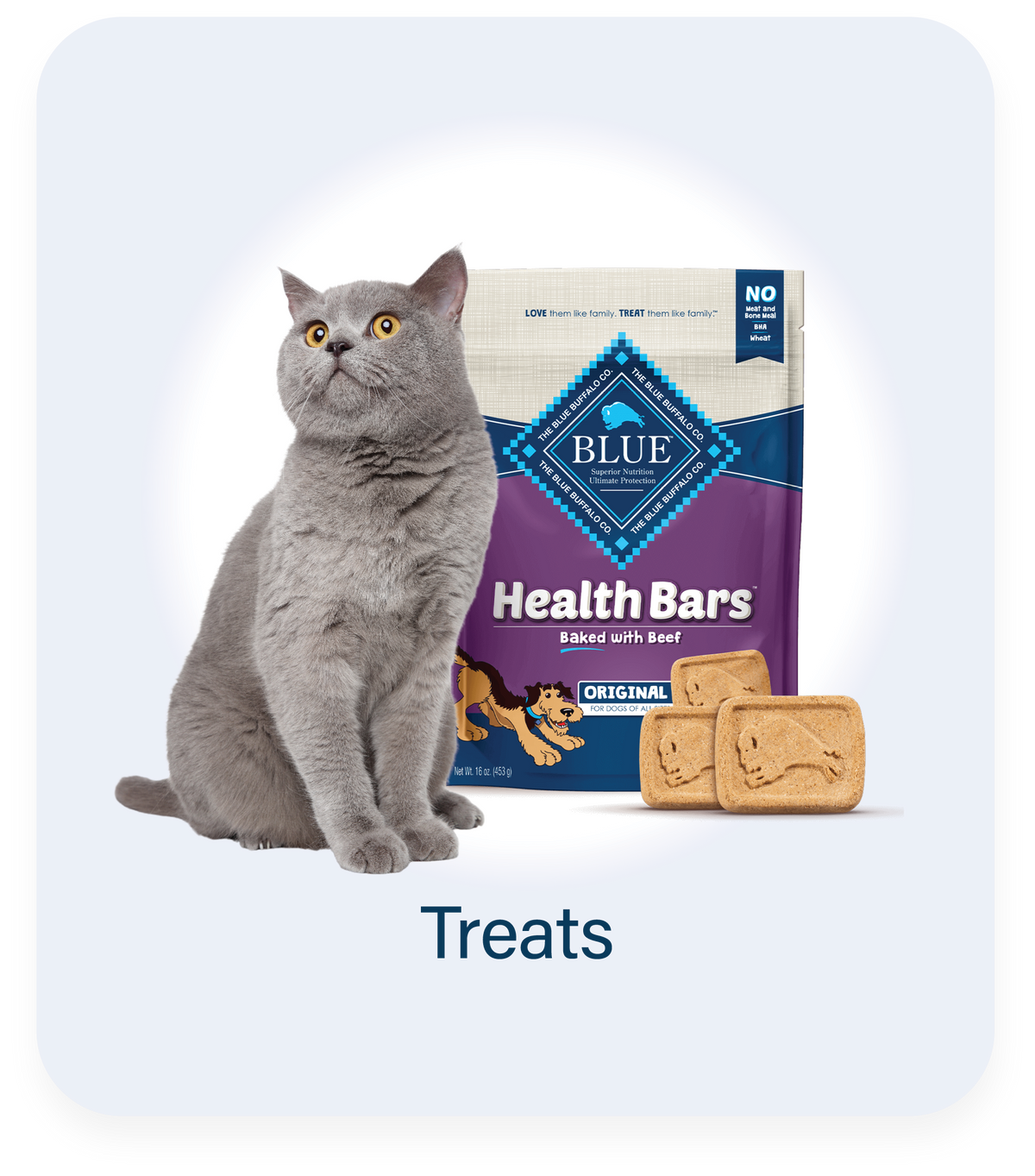 Cat Treats