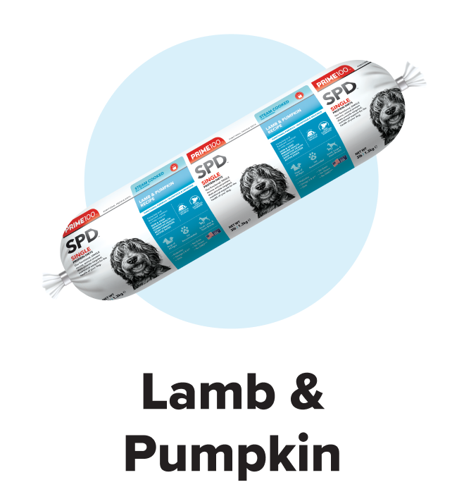 Lamb & Pumpkin