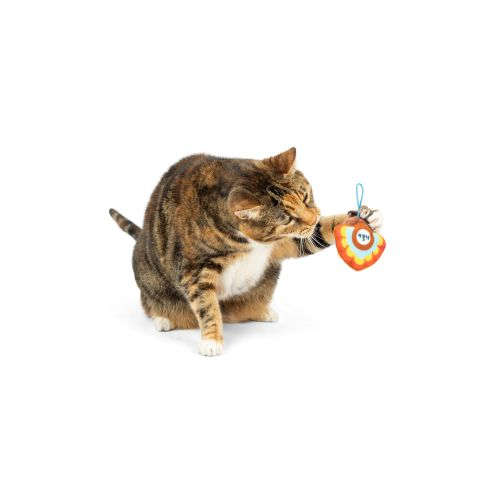 Huxley & Kent Turkey Flinger Cat Toy
