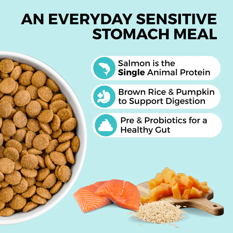 Koha Limited Ingredient Bland Diet Salmon & Brown Rice Recipe with Pumpkin Dry Dog Food