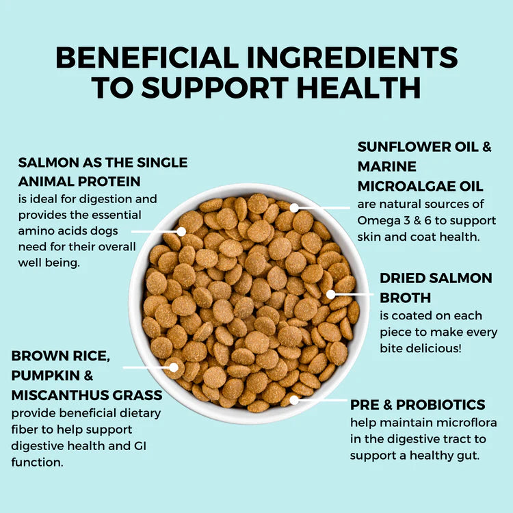 Koha Limited Ingredient Bland Diet Salmon & Brown Rice Recipe with Pumpkin Dry Dog Food