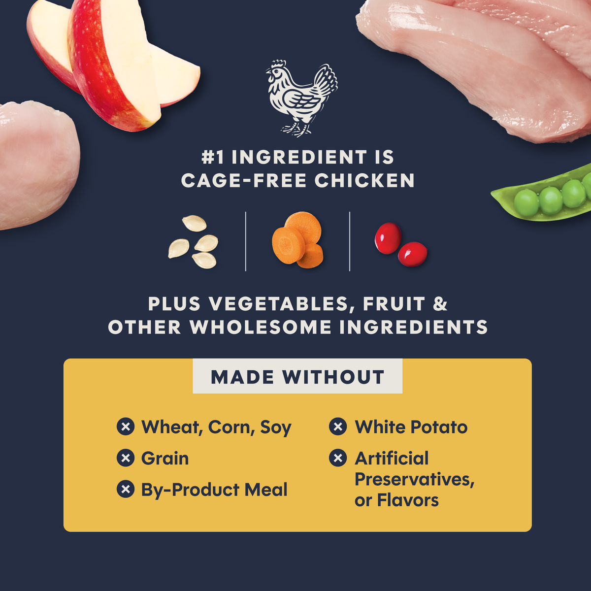 Instinct Raw Boost Grain-Free Recipe with Real Chicken All Life Stages Dry Cat Food 5 lb
