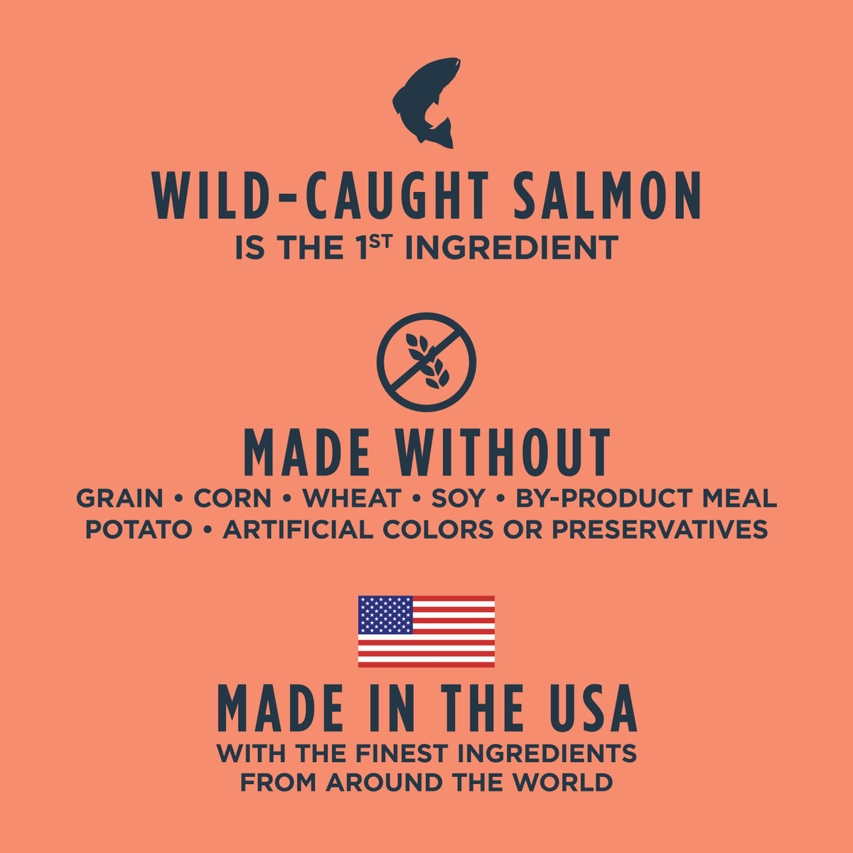 Instinct Raw Boost Grain-Free Recipe with Real Salmon All Life Stages Dry Cat Food 5 lb