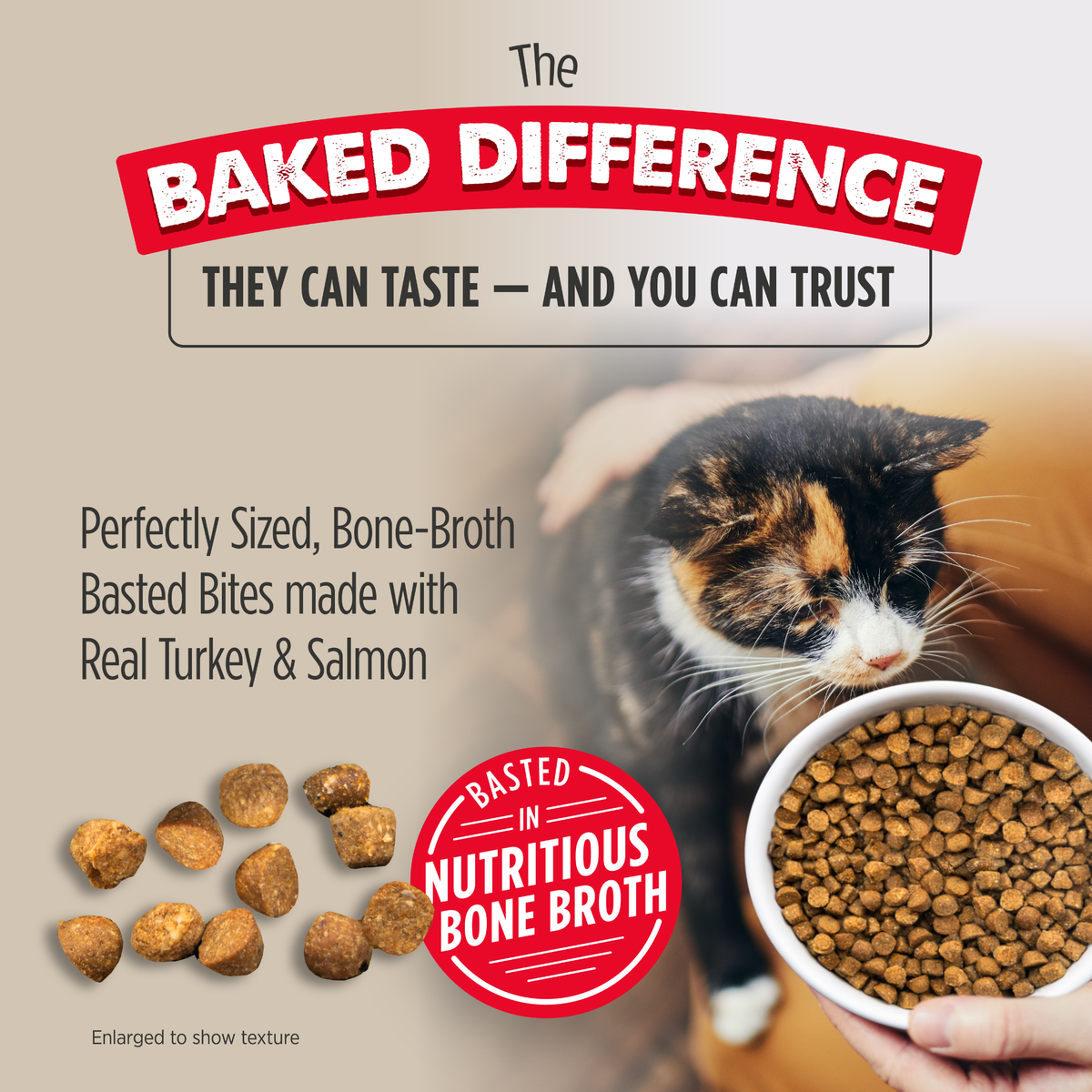 Nulo Culinary Harvest Baked Turkey & Salmon Recipe for Adult Cats and Kittens 4 lb