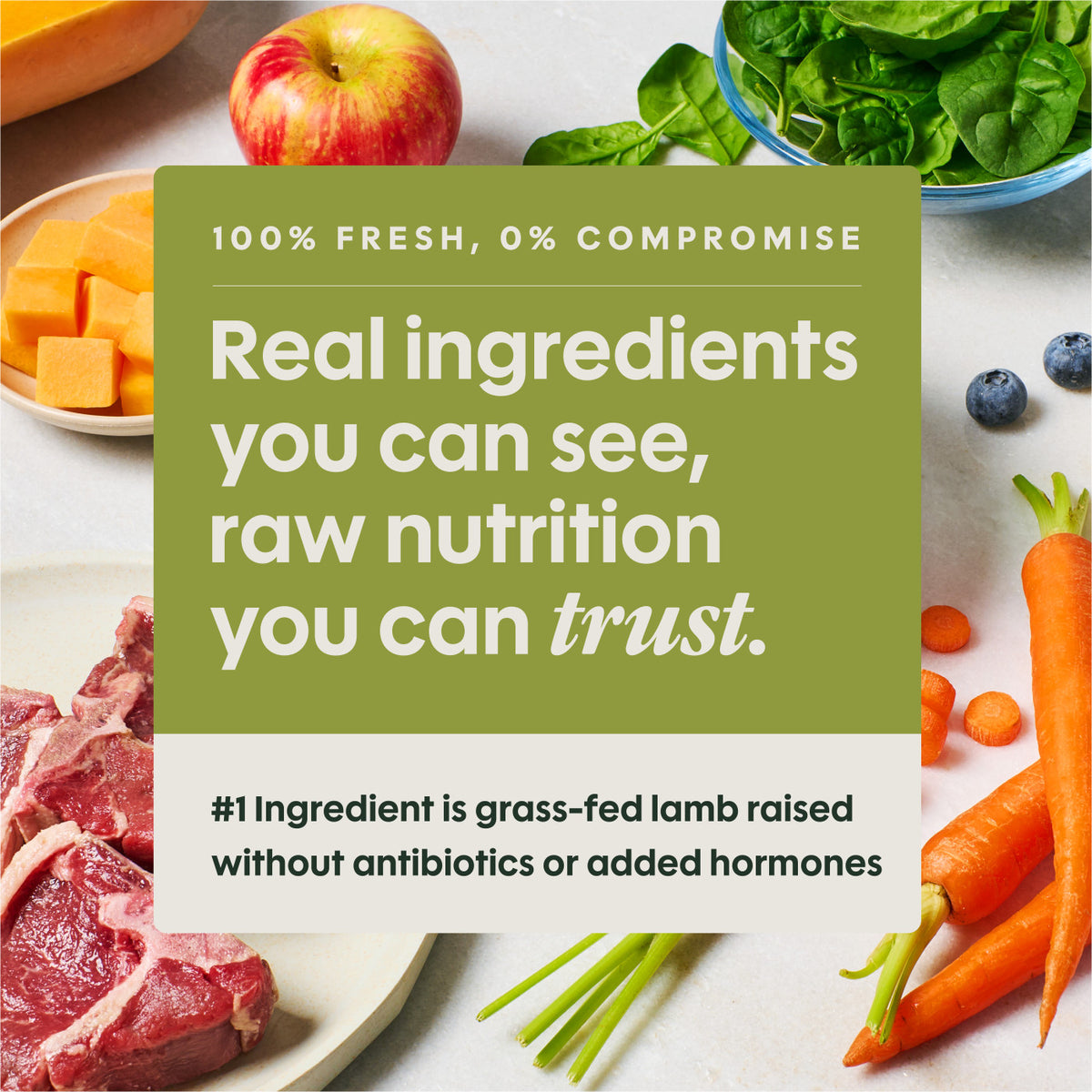 Instinct Frozen FreshRaw Meals Grass-Fed Lamb Recipe Adult Dog Food 8 oz