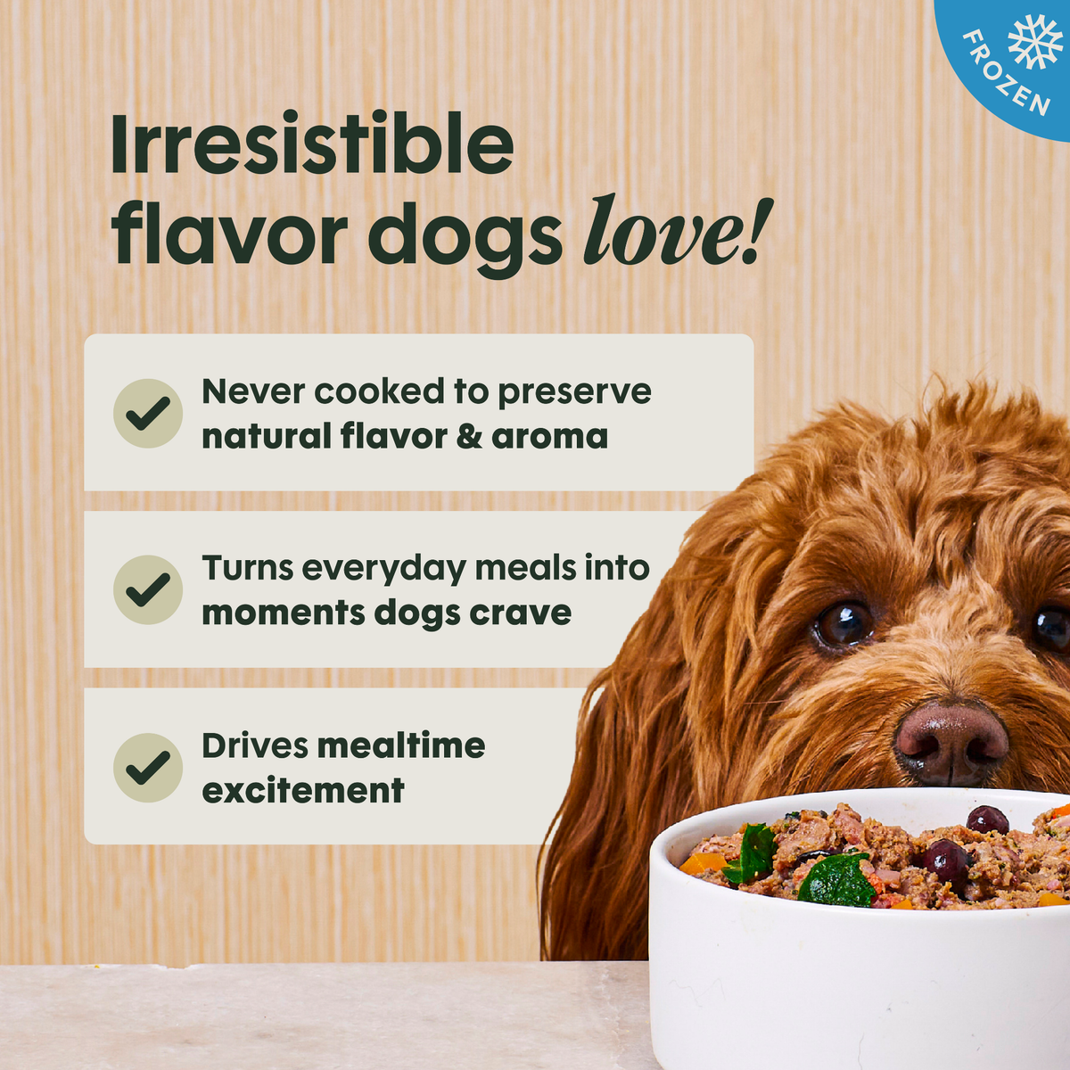 Instinct FreshRaw Meals Cage-Free Chicken Recipe Adult Dog Food 8 oz