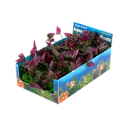 Penn-plax Green & Purple Bunch Aquarium Plant Medium
